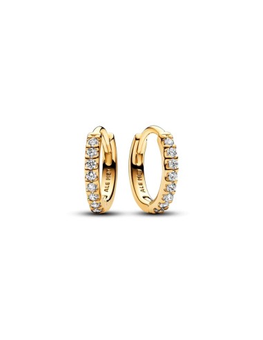 HOOP EARRINGS WITH A GOLD COATING OF 1