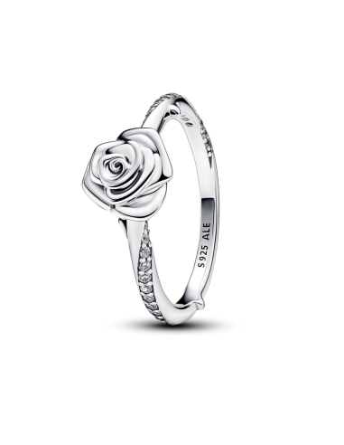 THE RING IN THE PLATED LAW ROSE BLOOMING