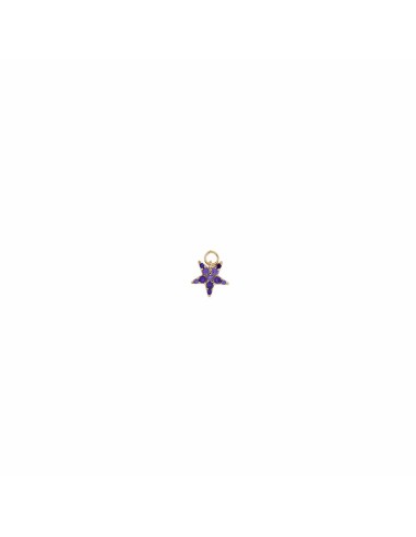 GOLDEN SILVER CHARM STAR WITH PURPLE ZIRCONS