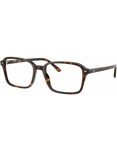 RAY BAN HAVANA FRAME