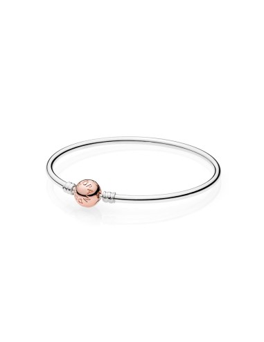 Bracelet PLATA RGIDA MOMENTS PANDORA ROS