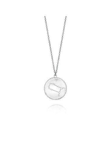 COLLAR PLATA VICEROY JEWELS SIGNO GEMINIS