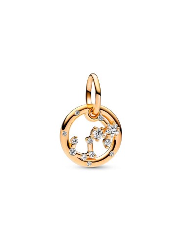 Charm Pendant with a 14k gold coating