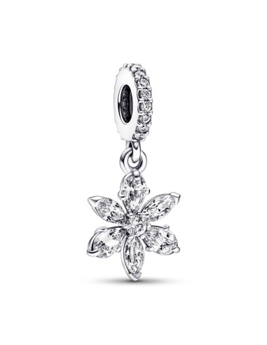 CHARM COLGANTE EN PLATA DE LEY HERBARIO BRILLANTE