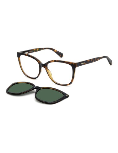 SOL GAFAS POLAROID HAVANA WITH SUNSHINE