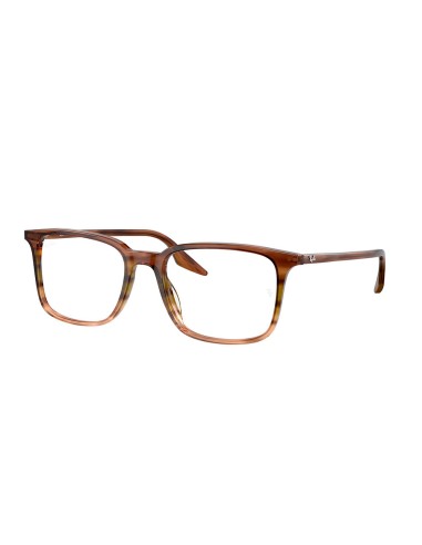 MONTURA RAY BAN Brown VERDE