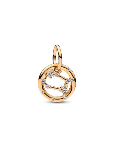 Charm Pendant with a 14k gold coating