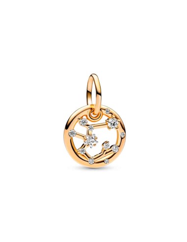 Charm Pendant with a 14k gold coating