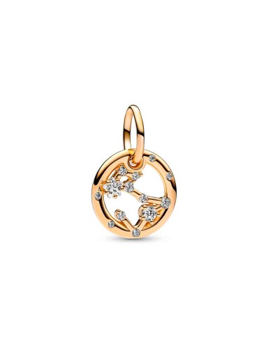 Charm Pendant with a 14k gold coating