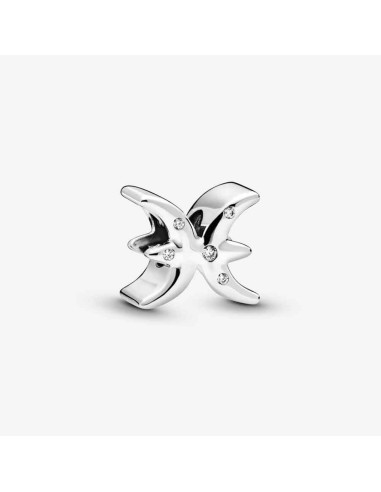 SILVER CHARM ZODIAC PISCES