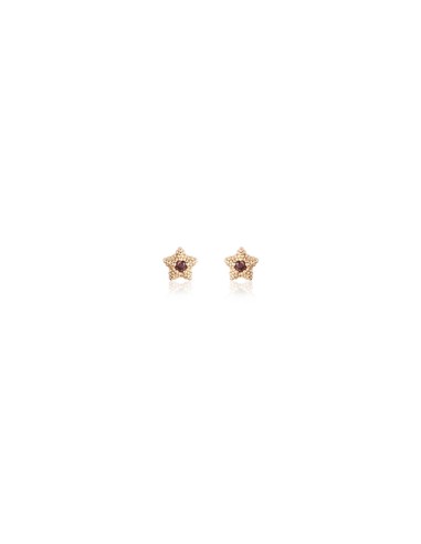 PENDIENTES LITCHI ESTRELLA PLATA ROSA Y CIRCONITAS