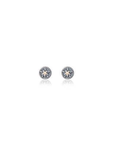 PENDIENTES LITCHI STAR PLATA Y CIRCONITAS