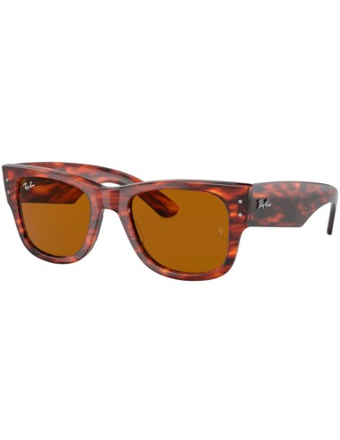 GAFAS DE SOL RAY BAN  HABANA