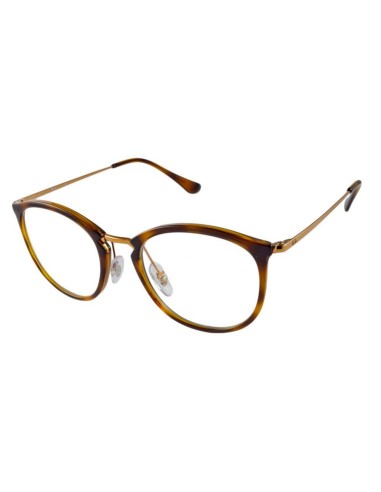 RAY BAN HAVANA FRAME