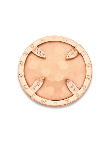 BELIZE CHAMPAGNE COIN PINK IP STEEL DISC