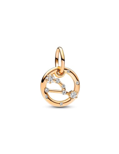  Charm Pendant with a 14k gold coating