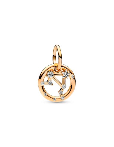 Charm Pendant with a 14k gold coating