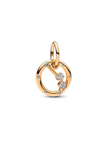 Charm Pendant with a 14k gold coating